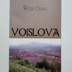 Banat/ Caras Petru Oprut - Voislova, monografie, Timisoara, 2008, 360 pagini