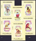 DB1 Ras al Khaima Fauna Pasari 6 SS de Lux MNH, Nestampilat