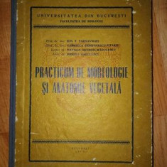 Practicum de morfologie si anatomie vegetala- Ion T. Tarnavschi