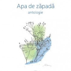 Apa de zapada - Grigore Arbore