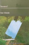 Incotro? - Ion Ghetie (1999) Roman, Editura Institutul European, Beletristica, Carte Paperback, 247 pagini