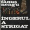 Ingerul a strigat - Roman, Editia a II-a
