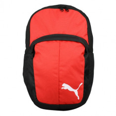 Rucsac unisex Puma Pro Training II 07489802 foto