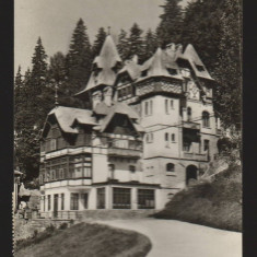 CPI B13652 CARTE POSTALA - SINAIA - VILA