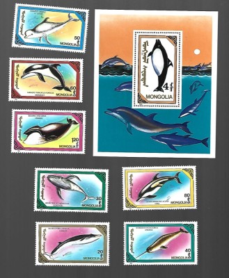 mongolia pesti mnh foto