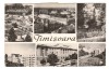 CPIB 21422 - CARTE POSTALA - TIMISOARA, MOZAIC, RPR, Circulata, Fotografie