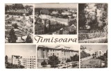 CPIB 21422 - CARTE POSTALA - TIMISOARA, MOZAIC, RPR, Circulata, Fotografie