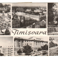 CPIB 21422 - CARTE POSTALA - TIMISOARA, MOZAIC, RPR