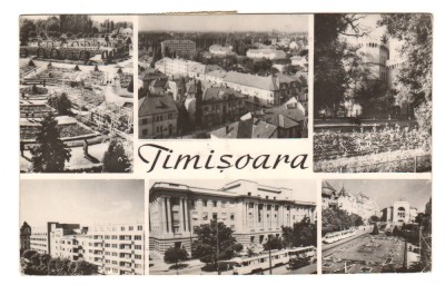 CPIB 21422 - CARTE POSTALA - TIMISOARA, MOZAIC, RPR foto