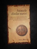 Patimirile sfintilor martiri (2008)