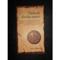 Patimirile sfintilor martiri (2008)