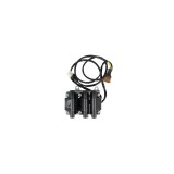 Bobina de inductie AUDI A6 4A C4 BERU ZSE007