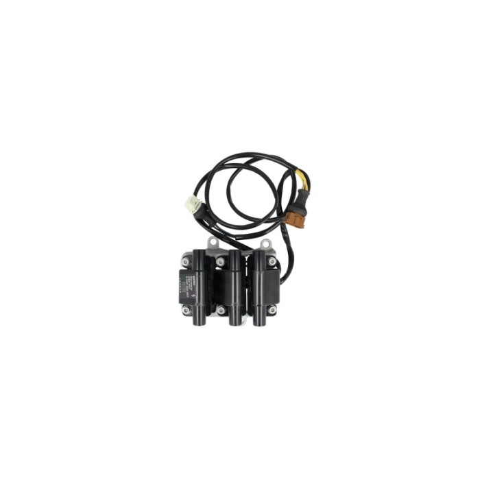 Bobina de inductie AUDI A6 4A C4 BERU ZSE007