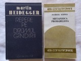 MARTIN HEIDEGGER- REPERE PE DRUMUL GANDIRII+ METAFIZICA PROBABILISTA- PATRIK SUP