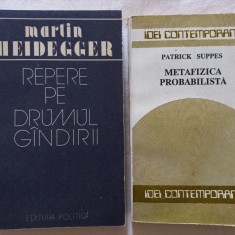 MARTIN HEIDEGGER- REPERE PE DRUMUL GANDIRII+ METAFIZICA PROBABILISTA- PATRIK SUP