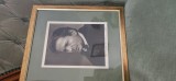 Fotografie de mari dimensiuni ... GEORGE ENESCU , semnata OLOGRAF de maestru , datata 1948 , olograf