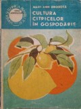 Cultura Citricelor in Gospodarie, Mari Ann Drobota, Editura Ceres, Romana, 1988, Acceptabila
