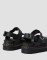 icon 5