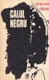 Stelian Gruia - Calul negru