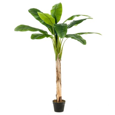 Emerald Bananier artificial &amp;icirc;n ghiveci, 120 cm foto