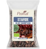 Stafide Blue Thompson Bio Pronat, 100g, Argentina, Fructe Uscate, Ecologice, Aurii, Fara Samburi, Ulei Floarea Soarelui