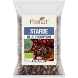 Stafide Blue Thomson Bio 100 grame Pronat