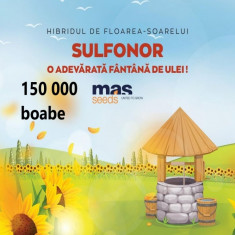 Seminte Floarea Soarelui Sulfonor SU sac 150 000