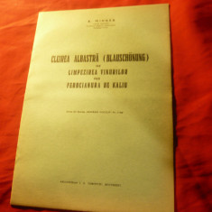 Studiu Viticultura 1938- Cleirea Albastra in limpezirea vinurilor prin..,16 pag.