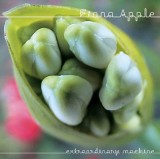 Fiona Apple Extraordinary Machine (cd)