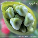 Fiona Apple Extraordinary Machine (cd)