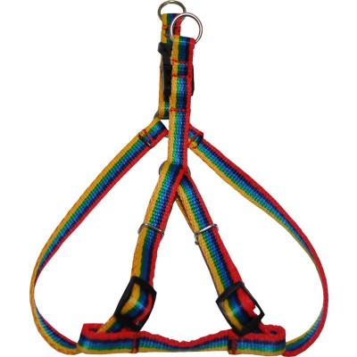 HAM PENTRU CAINI NYLON MILAN CLICK 35-50CM foto