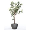 Măslin Artificial Emerald, 65 cm, Arbust Miniatură Verde, Decor Interior