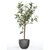 Măslin Artificial Emerald, 65 cm, Arbust Miniatură Verde, Decor Interior