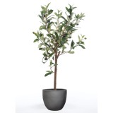 Emerald Maslin artificial, arbust miniatural, 65 cm GartenMobel Dekor, vidaXL