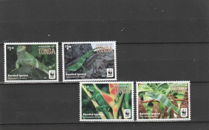 Tonga 2016 - Fauna , WWF , Iguana , serie 4 valori , dantelate , MNH , Mi.2098-2101