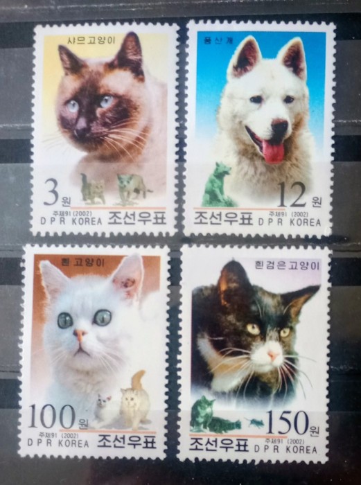 Coreea 2002 pisici și c&acirc;ini , fauna animale serie 4v nestampilata