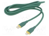 Cablu USB 2.0 GEMBIRD 1,5m Lightning - USB C verde