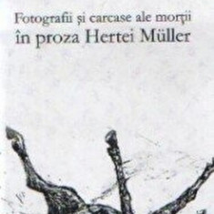 Fotografii si carcase ale mortii in proza Hertei Muller - Dana Bizuleanu