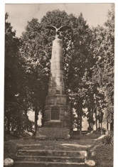 CPIB 15434 ALBESTI. MONUMENTUL LUI PETOFI foto