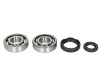 Cumpara ieftin Lagare cu arbore cotit set cu garnituri pentru YAMAHA WR, YZ 250 1988-1997