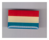 Insigna steag Olanda - Editions Atlas, cu pin