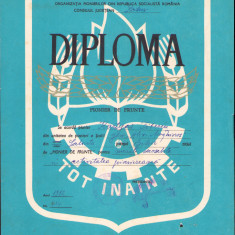 HST P2/159 Diplomă pionier de frunte 1972 Salonta Bihor