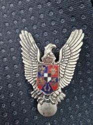 Insigna pilot perioada 1940 - 1941