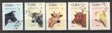 Cuba 1973 Animals, pets, used G.241, Stampilat