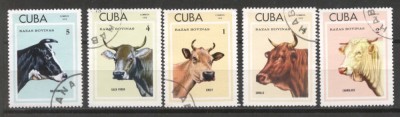 Cuba 1973 Animals, pets, used G.241 foto