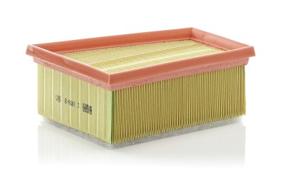MANN-FILTER C 1858/2 Filtru aer foto