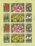 ROMANIA 2006,LALELE MINICOALA,Lp.1761a,MNH ** ., Flora, Nestampilat