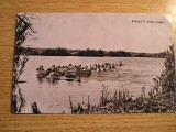 QW24 D - Carte postala - tematica turism - vedere - Delta Dunarii 15