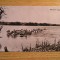 QW24 D - Carte postala - tematica turism - vedere - Delta Dunarii 15