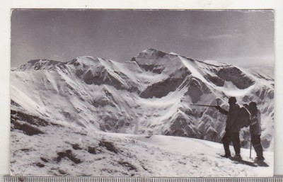 bnk cp Spre crestele de sud-est ale masivului Fagaras - Vedere - circulata foto